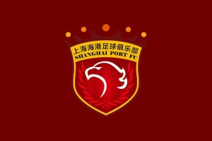 星空体育官网-海港新赛季大名单：共35人在列，加布里埃尔11号，张源6号